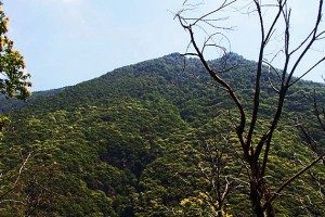 Gipfel im Nationalpark (© InterDomizil GmbH)
