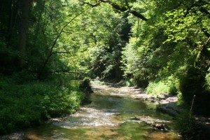 deutschland-baden-wuerttemberg