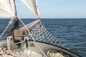 Wettkampf der Segler auf der Warnemünder Woche // Bild: Pixabay (CC0)