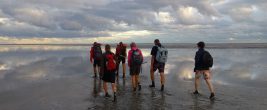 Urlauber bei einer Wattwanderung // Bild: Pixabay (CC0)