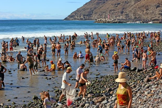 frisch gebadet kommen die Teilnehmer des Tümpelfests aus dem Meer © Alejandro Ramos