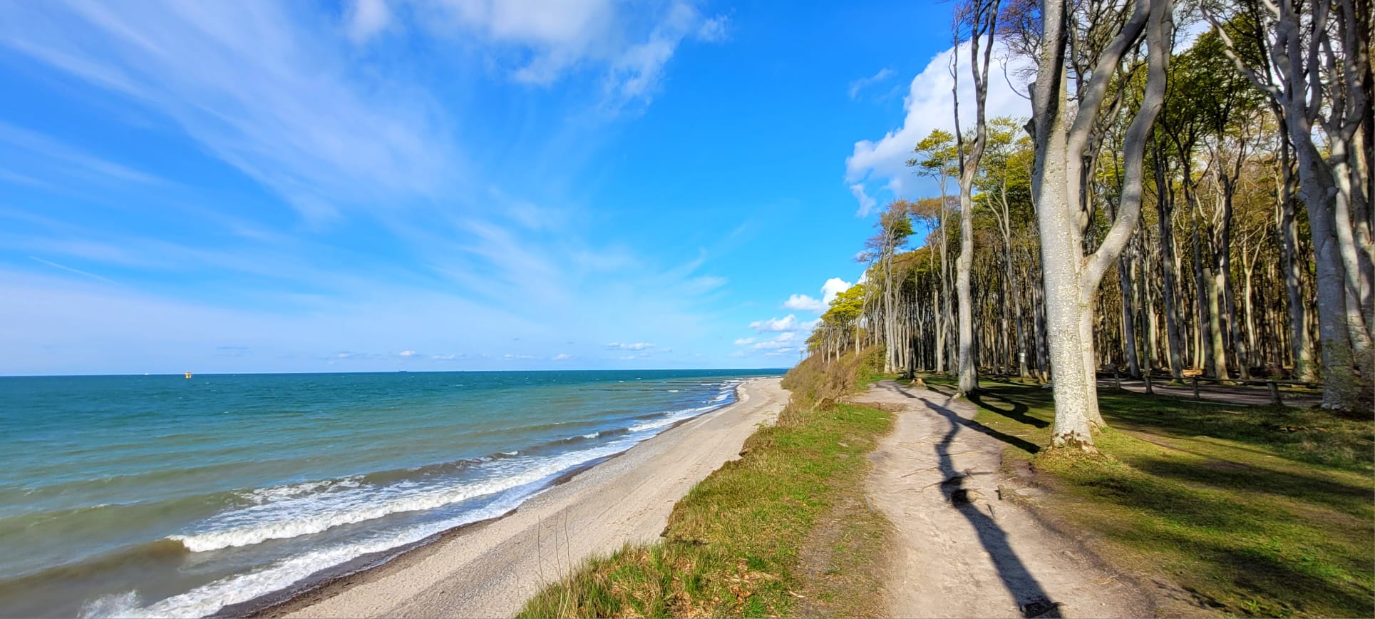 Gespensterwald Nienhagen: Mystik am Meer