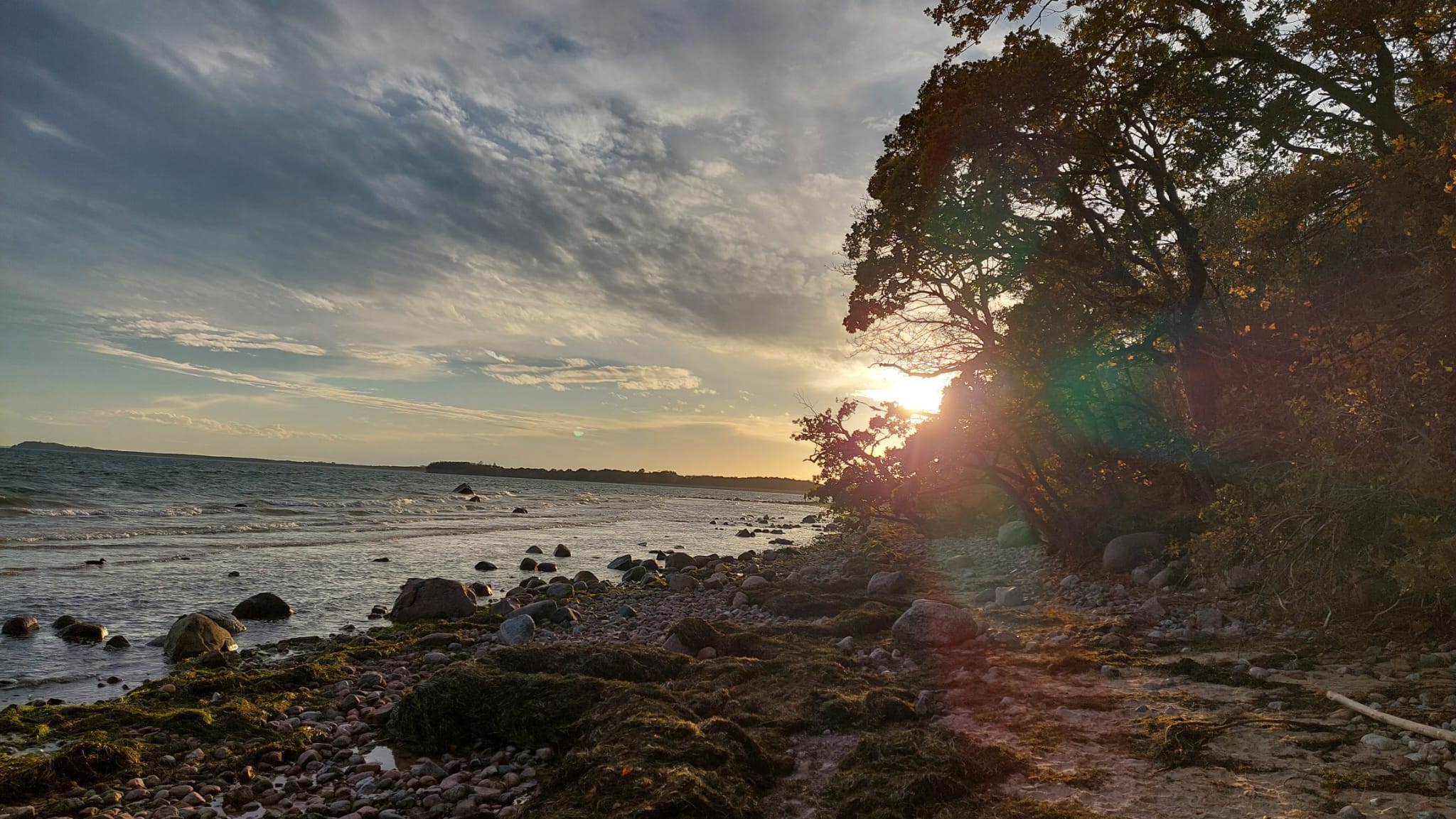 Schlechtes Wetter auf Rügen? Die besten Indoor-Aktivitäten im Herbst/Winter