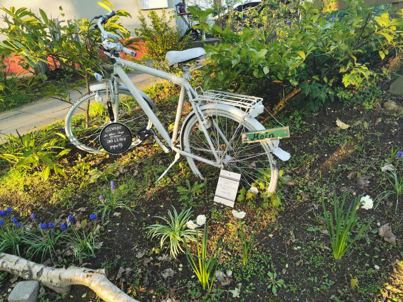 Herbstliche Radtouren auf Rügen: die besten Strecken