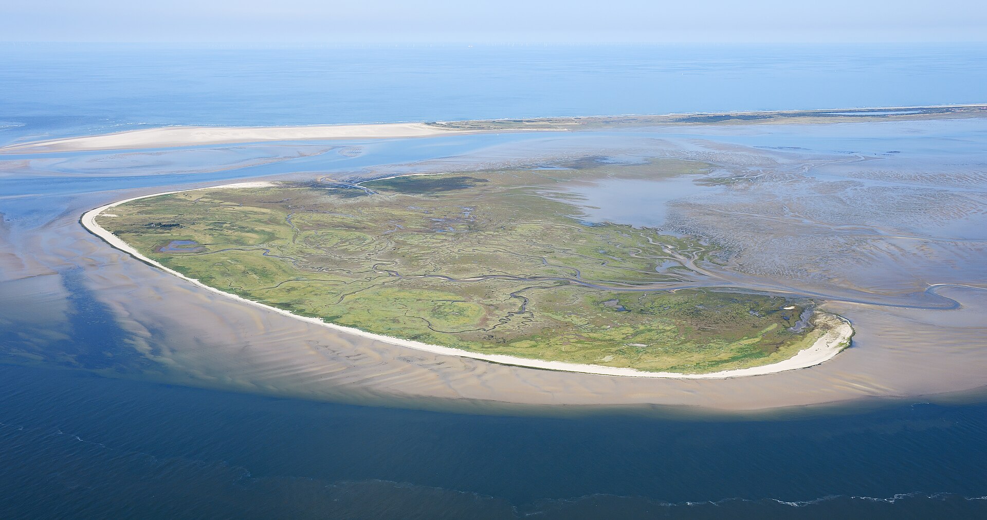 Nachbarinsel Memmert: Abstecher zur Vogelinsel
