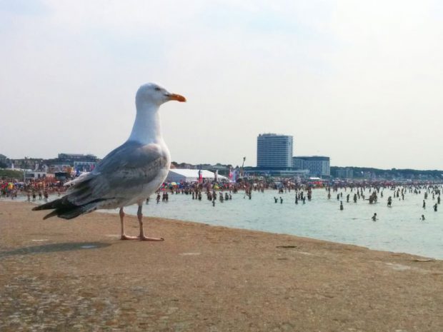 Viel los in Warnemünde - Foto: InterDomizil GmbH