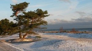 Kraft tanken zwischen den Jahren auf Rügen