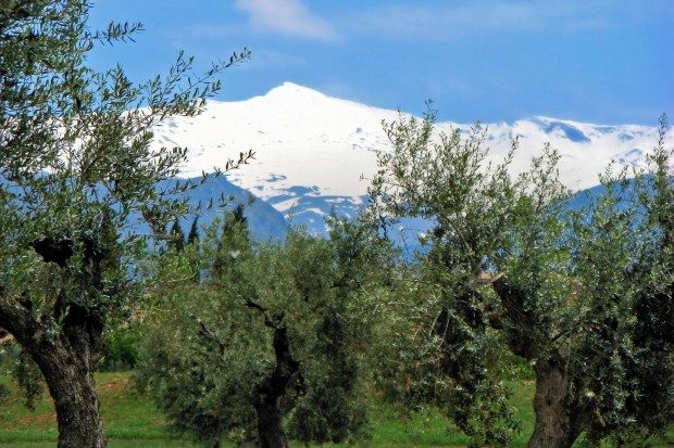 Die schneebedeckten Gipfel der Sierra Nevada - © Bildpixel / pixelio.de (rkn)