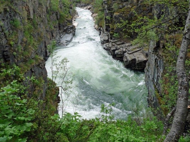 Wildes Wasser im Abisko-Nationalpark - © Dieter Schütz / pixelio.de (rkn)