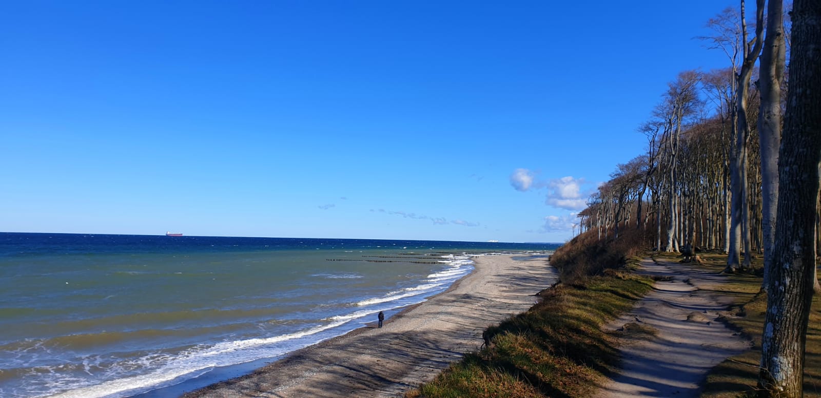 Strand und Gespensterwald bei Nienhagen