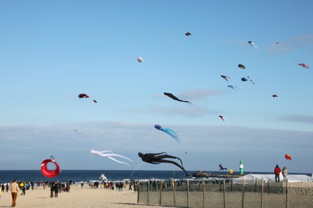 IMG_1528 IMG_1528