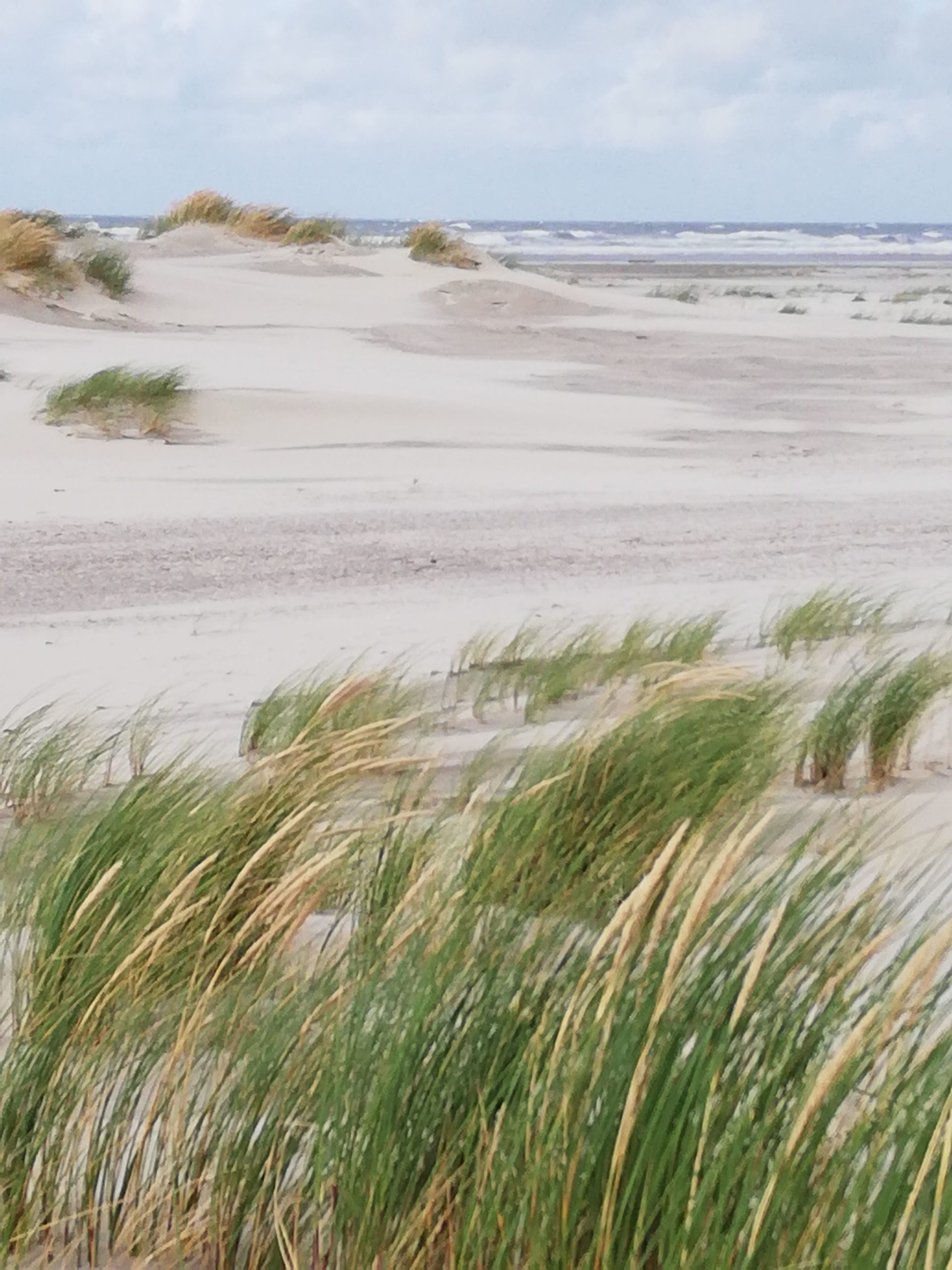 Juist Strand