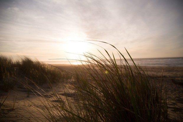 Dünen am Strand - Foto: Pixabay, CC0