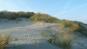 Insel Juist: Entschleunigung im Wellnesshotel – hier finden Sie Erholung pur