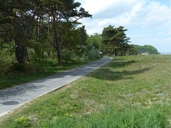 Weg am Selliner See