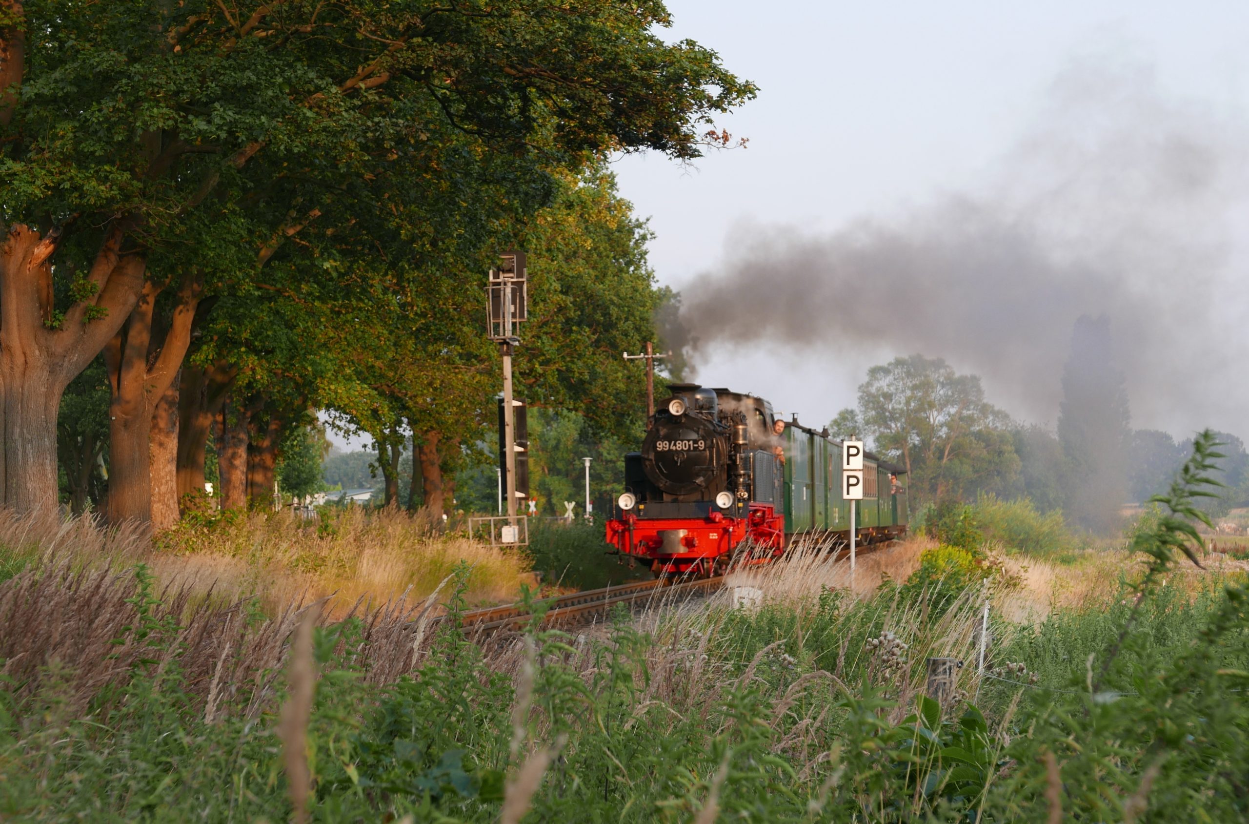 Rasender Roland auf Rügen