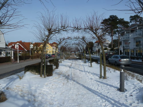 Dezember Events für Baabe auf Rügen