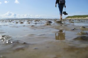 Wattenmeer-1 Wattenmeer-1