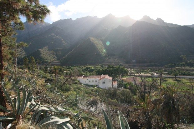 Das Agaete Tal mit üppiger Vegetation ist ideal zum Wandern - © Marion Hagedorn