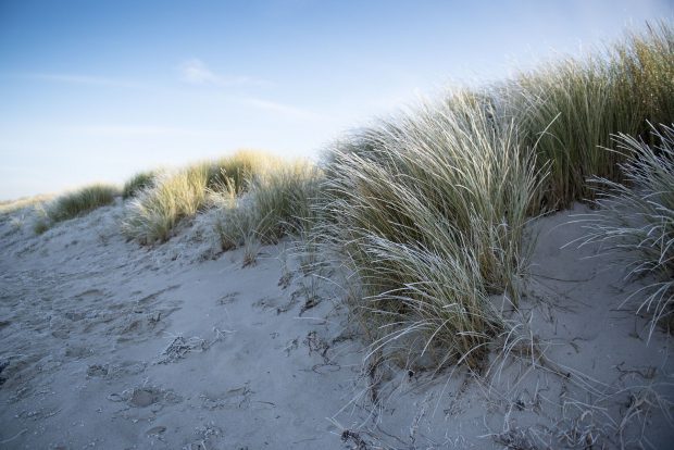 Die Ostsee im Winter // Bild: Pixabay (CC0)