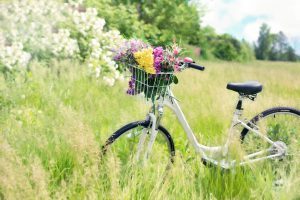 bicycle-788733_1920 bicycle-788733_1920