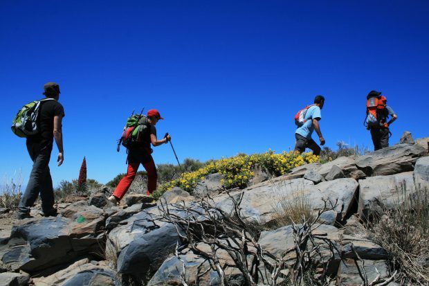 Wandern im Teide-Nationalpark // Bild: Pixabay (CC0)