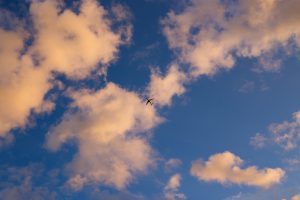 clouds-801884_960_720 clouds-801884_960_720