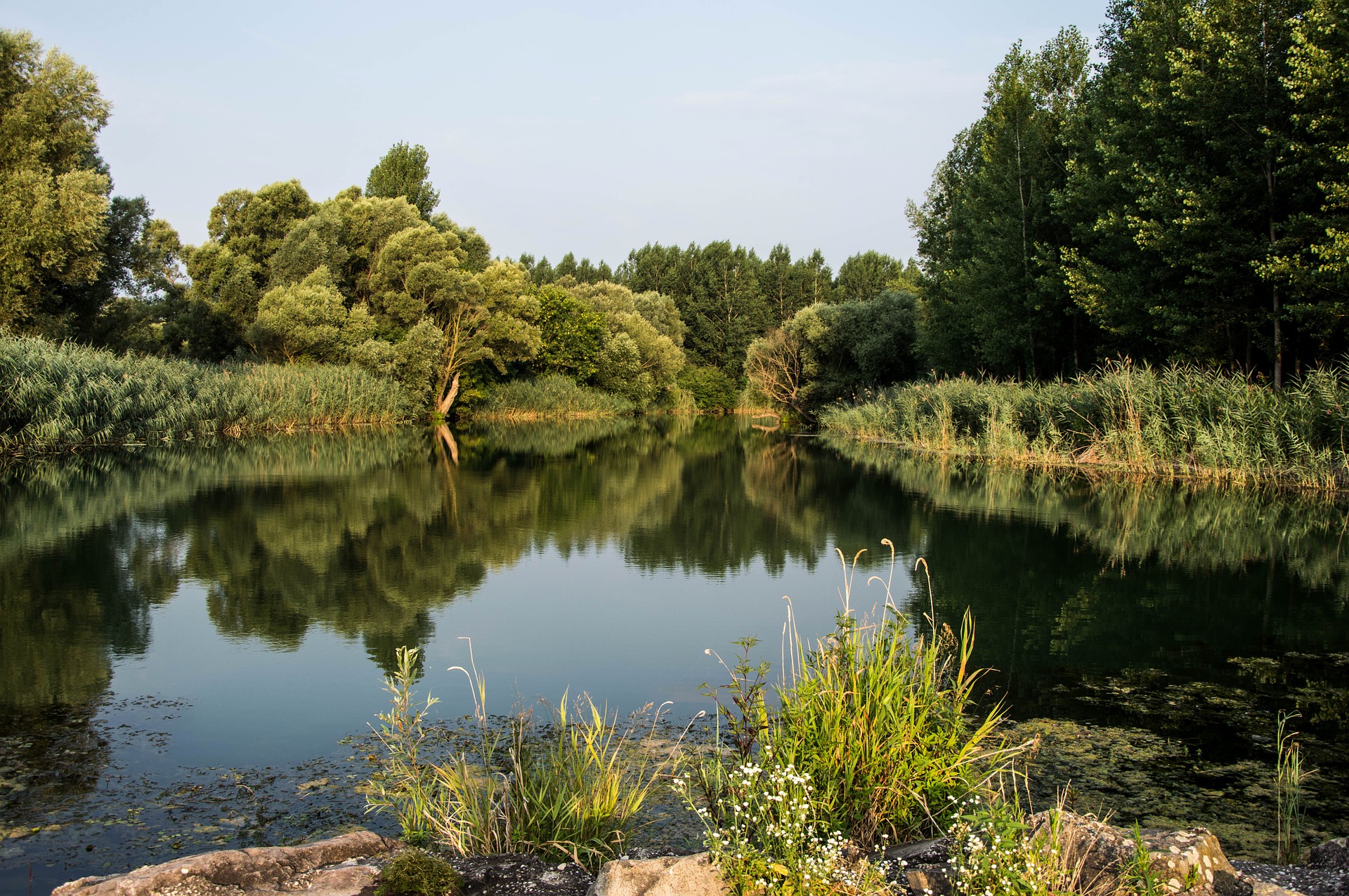 Donau Auen