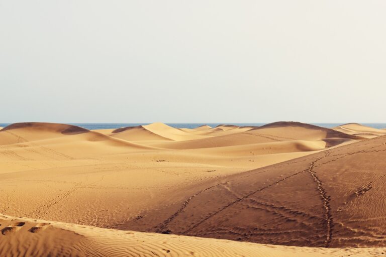 Dünen Maspalomas