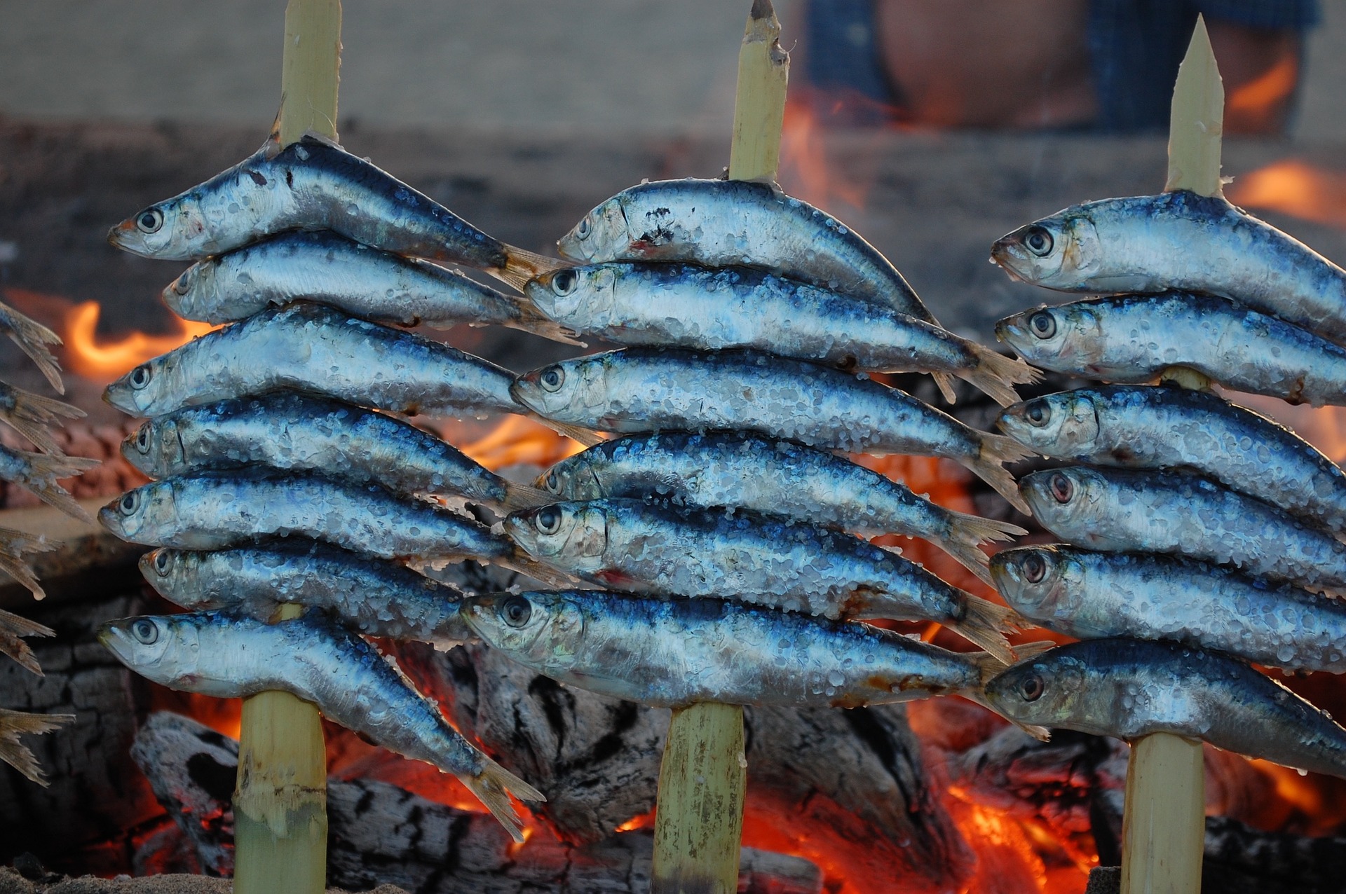 Fisch grillen am Strand