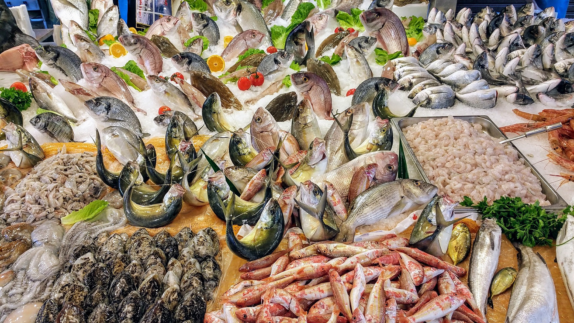 Fischmarkt in Catania
