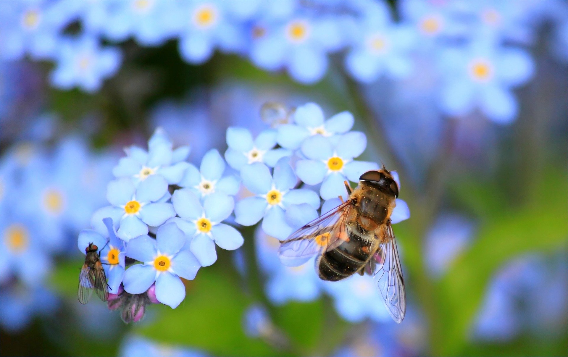 Naturfotografie