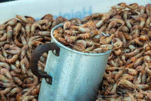 Typische Nordsee Gerichte für das perfekte Küsten-Feeling