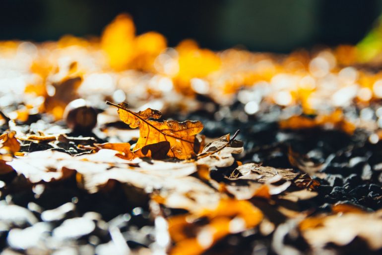 Städtereise im Herbst