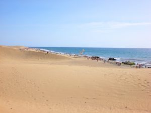 ein Klassiker auf Gran Canaria, der Strand Maspalomas - Foto: Marion Hagedorn