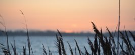 nordsee nordsee