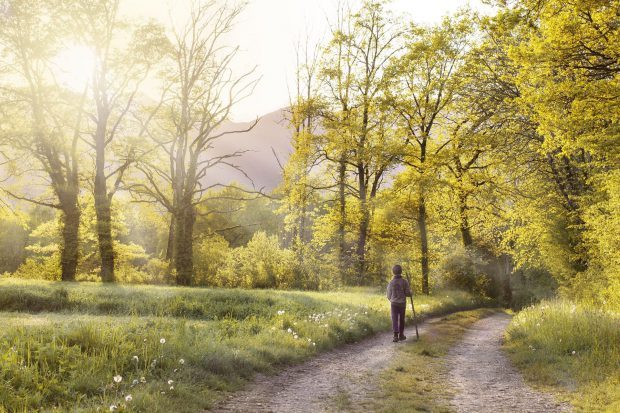 Wanderfrühling auf Rügen // BIld: Pixabay (CC0)