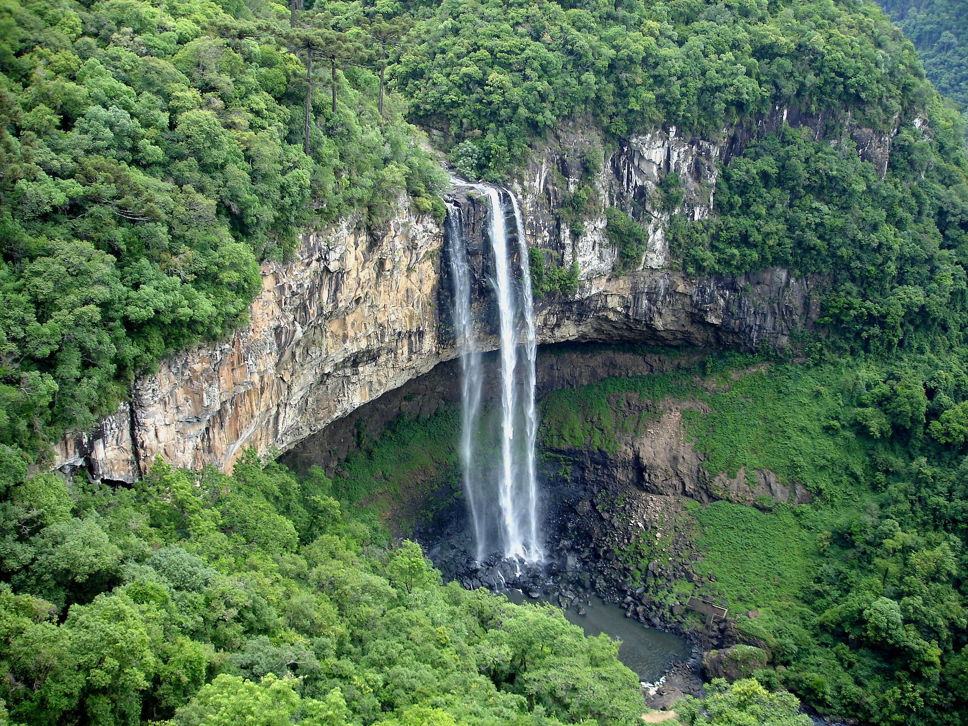 Regenwald in Brasilien