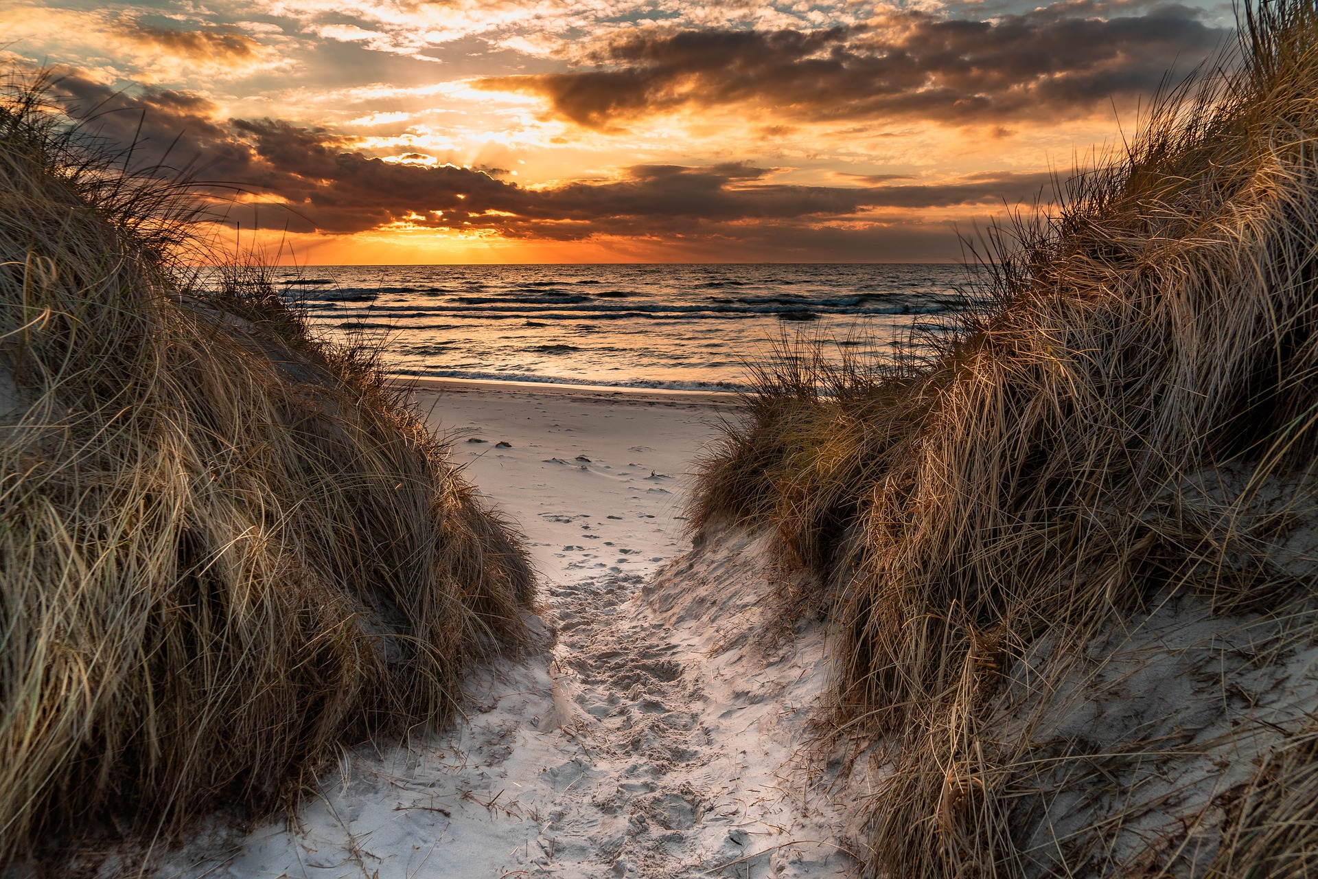 Weststrand Darß