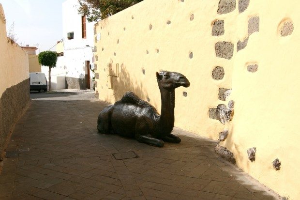 Kamel aus Bronze mitten in der Gasse neben dem Hotel / Copyright © Marion Hagedorn/Interdomizil