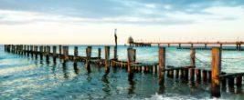 zingst zingst